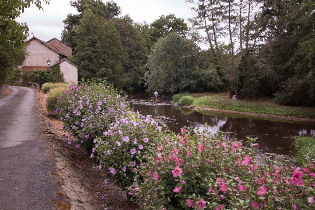 Les abords du moulin de Thollet: premières photos